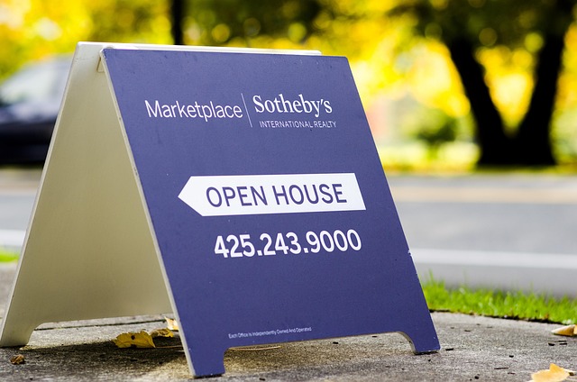 digital marketing agency Albany
