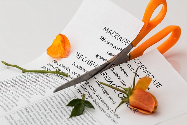Divorce attorney Albany