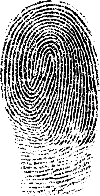 experienced-criminal-lawyer-albany-640x480-92788144.png