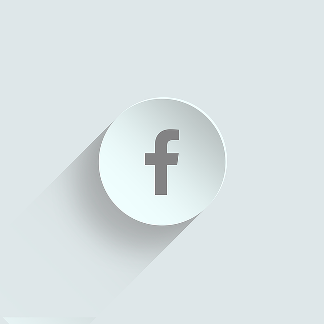 Facebook Ads agency Albany