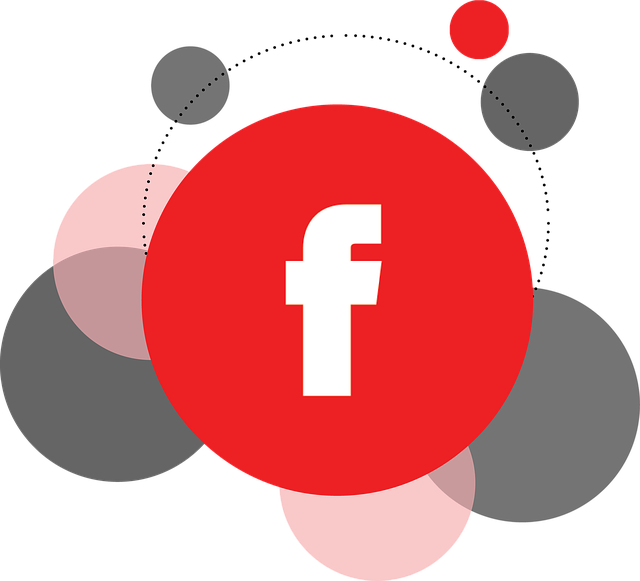 Facebook Ads agency Albany