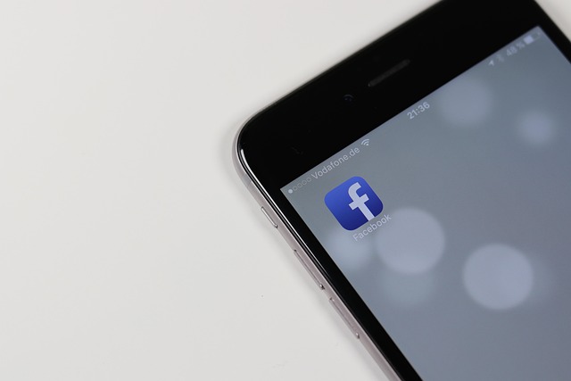 Facebook Ads agency Albany