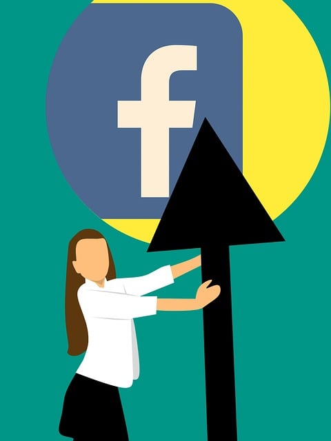 Facebook Ads agency Albany