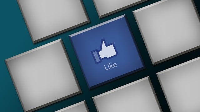 Facebook Ads agency Albany