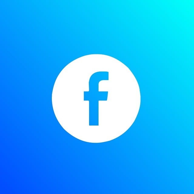 Facebook Ads agency Albany
