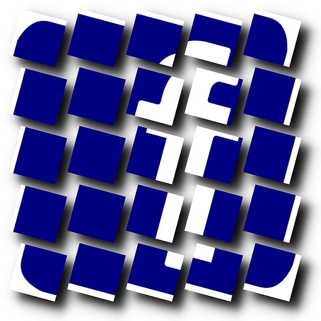 Facebook Ads agency Albany