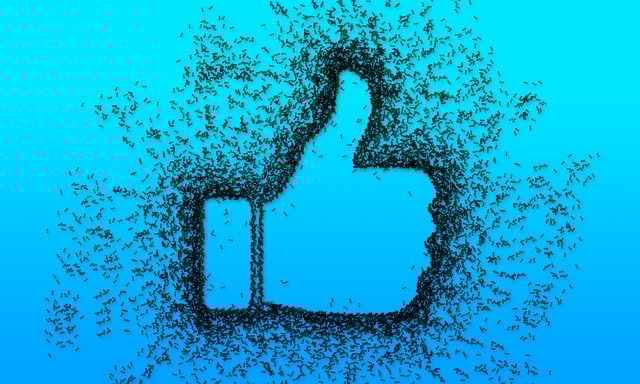 facebook-ads-agency-albany-640x480-97369084.jpeg
