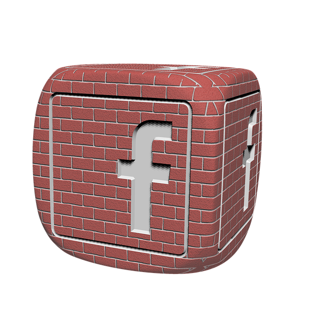 Facebook Ads agency Albany
