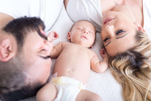 Family Law Mediation Albany