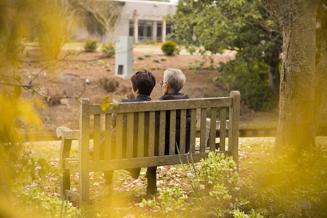 Family Law Services Albany