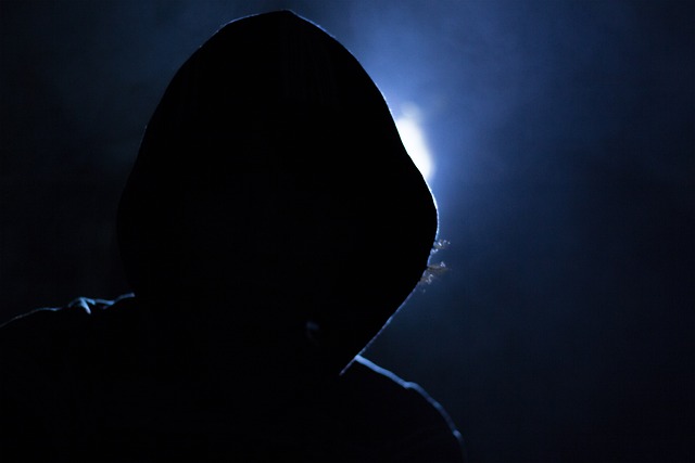 Free Criminal Consultation Albany