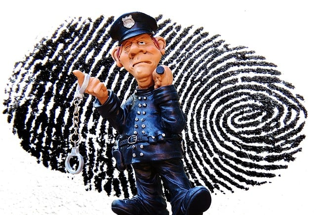 Free Criminal Consultation Albany