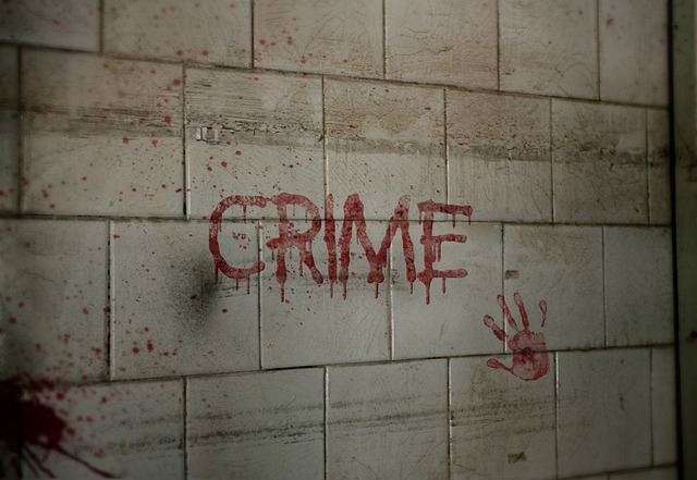 Free Criminal Consultation Albany