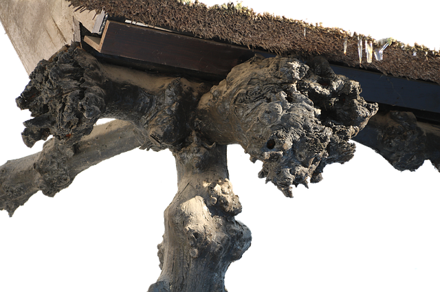 glue-laminated-beam-vs-solid-wood-beam-640x480-89952639.png