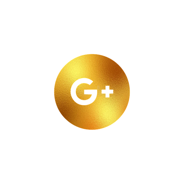 Google Ads management agency Albany