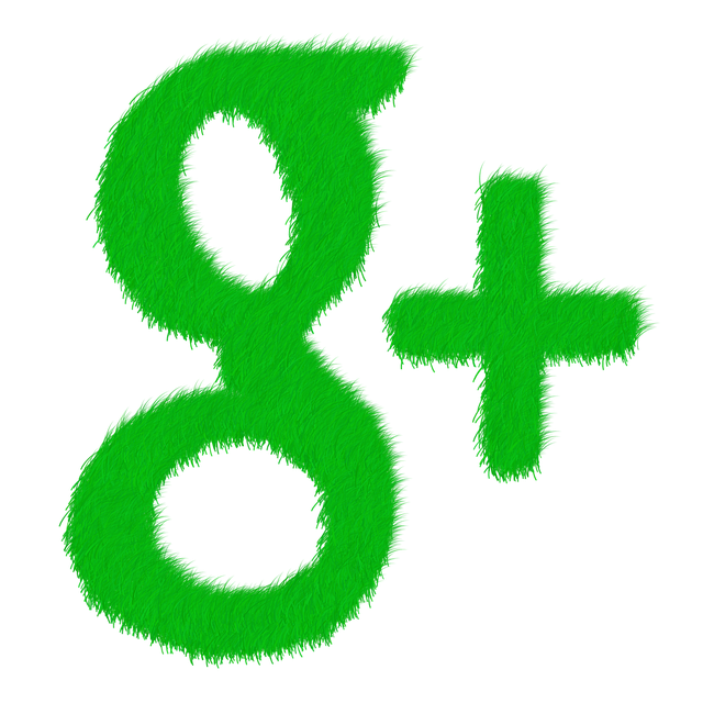 Google Ads management agency Albany