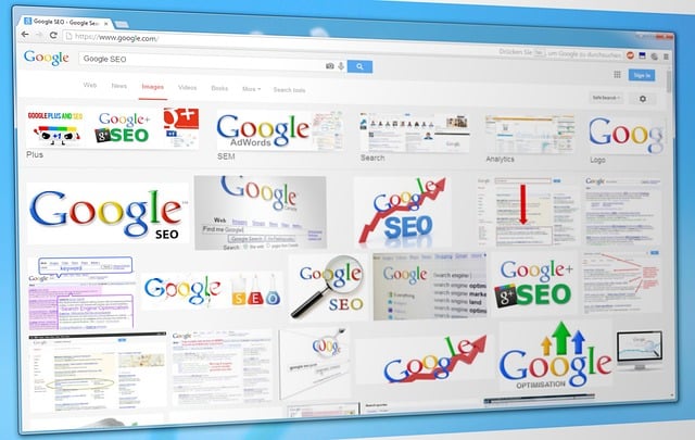 Google Ads management agency Albany