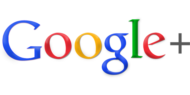 Google Ads management agency Albany