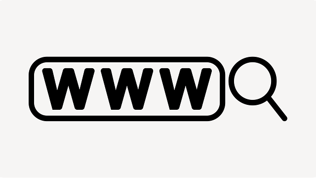 Google Ads management agency Albany