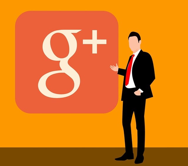 Google Ads management agency Albany