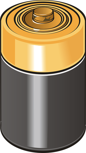 graphic designer Albany