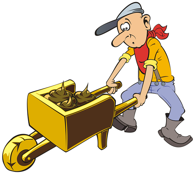 graphic designer Albany