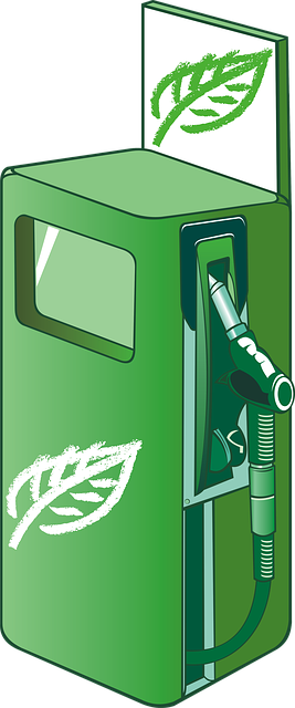 graphic designer Albany