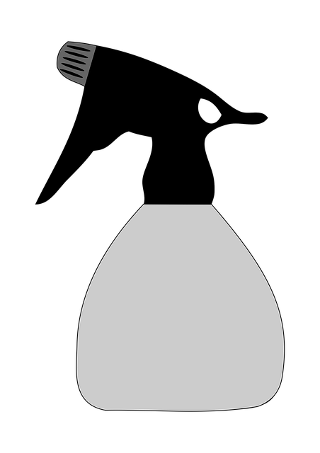 hair-salon-albany-640x480-12143476.png