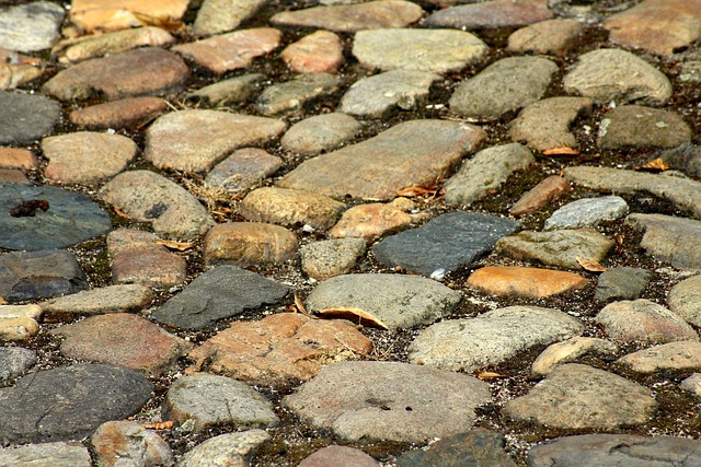 HOA paving Albany