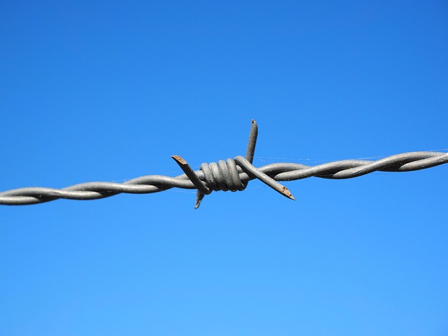 How to Hire a Criminal Defense Lawyer in Albany