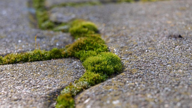 industrial-paving-services-albany-640x480-99091299.jpeg