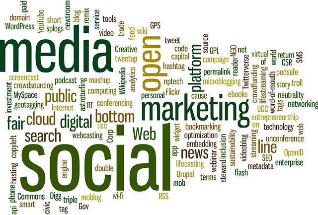 local SEO services Albany