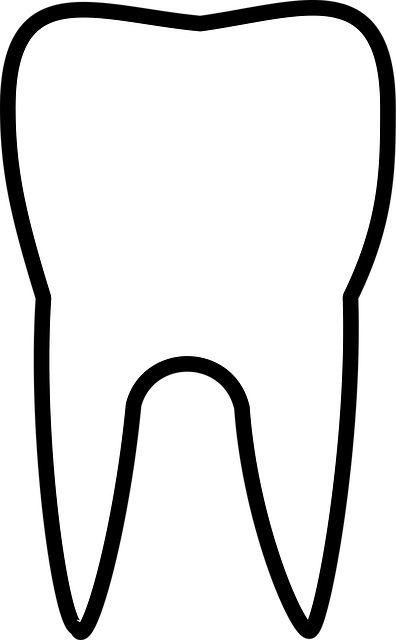 pediatric dentist