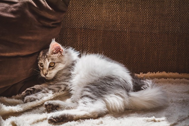 Pet deposit requirements in Albany apartments