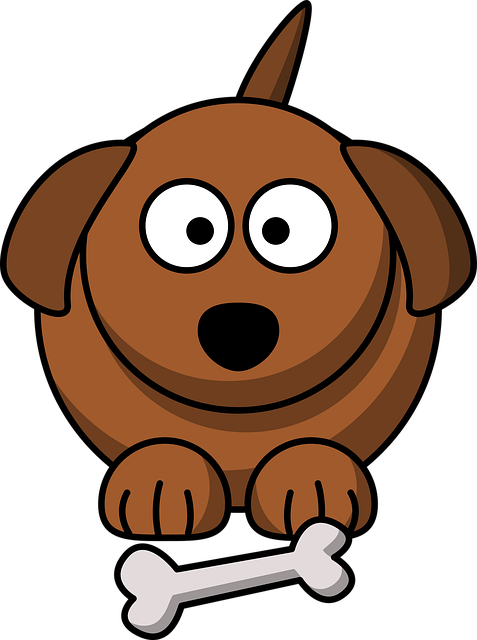 Pet friendly apartments in Albany