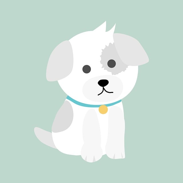 Pet friendly apartments in Albany