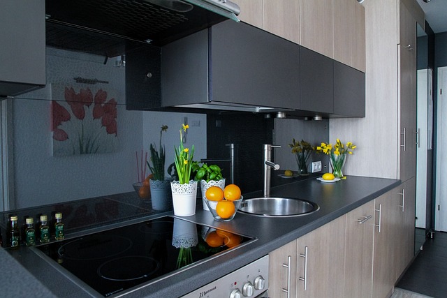 Pet friendly apartments in Albany