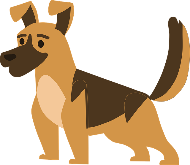 Pet friendly neighborhoods in Albany