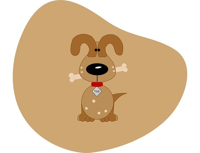 Pet friendly neighborhoods in Albany