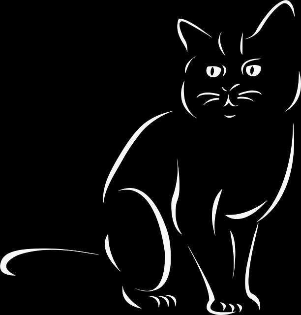 Pet sitting services near me in Albany, NY