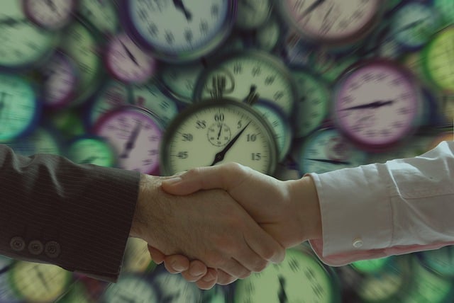 reputation management agency Albany