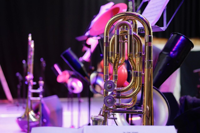 Schenectady Concerts