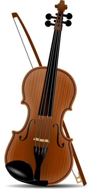 Schenectady Concerts