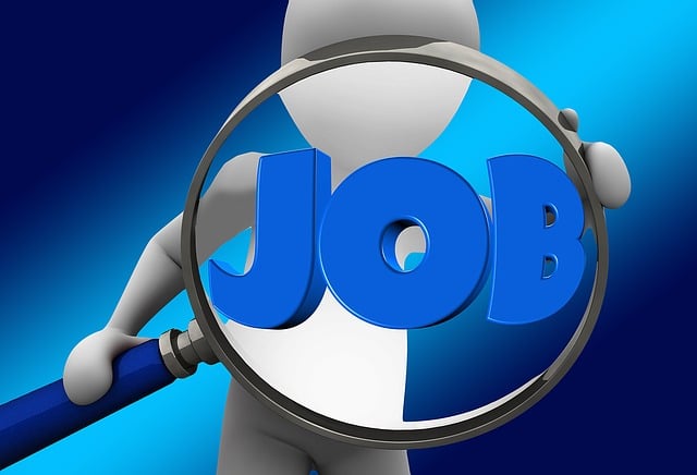 SEO agency Albany
