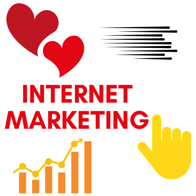 SEO agency Albany