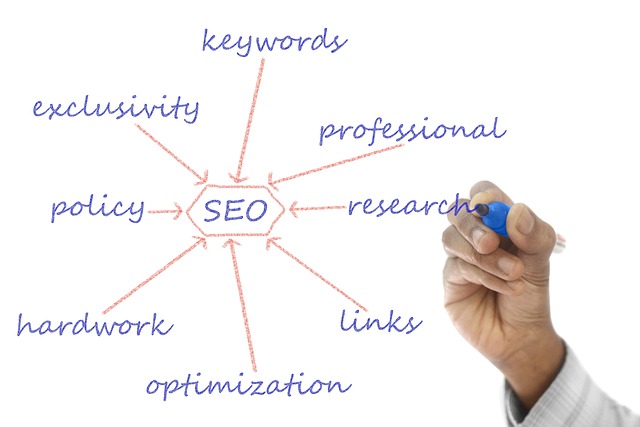 SEO agency Albany