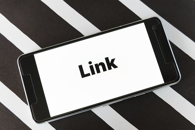 seo-agency-albany-640x480-55376655.jpeg