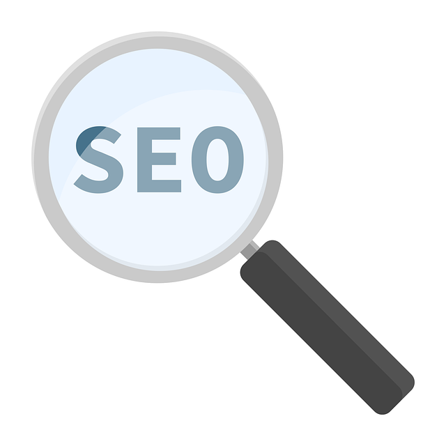 SEO agency Albany