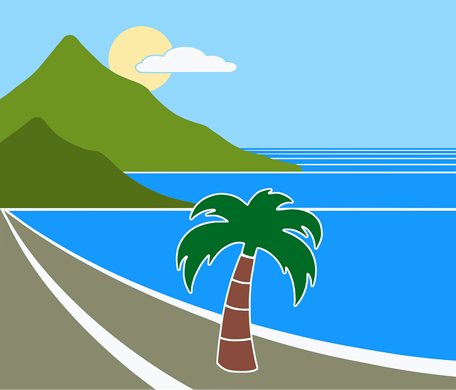 SEO agency Albany