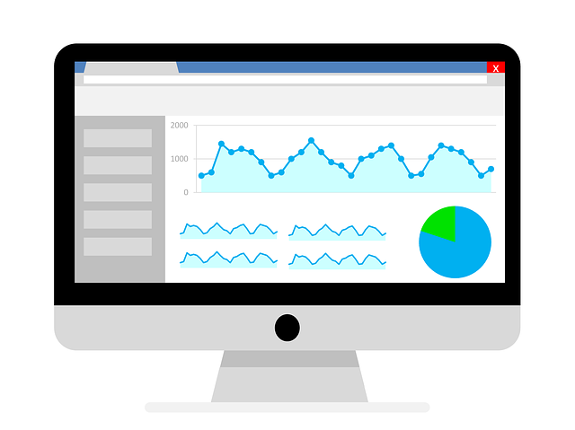 SEO agency Albany